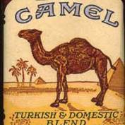 Camel-Cigarettes